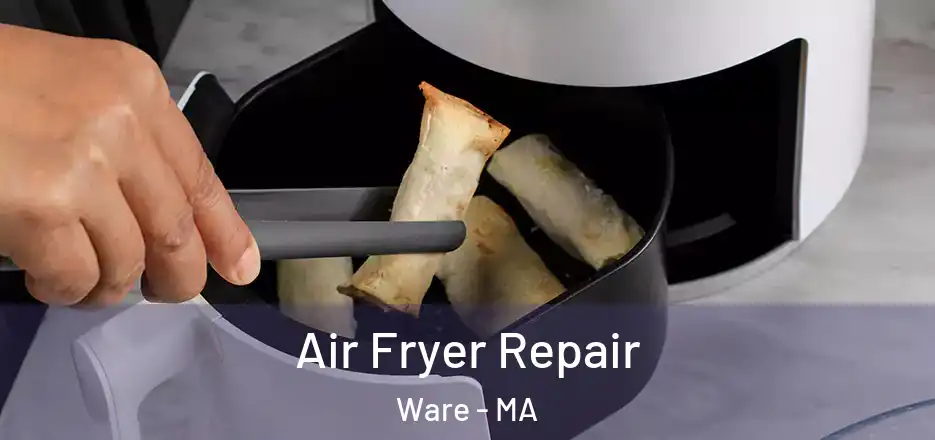 Air Fryer Repair Ware - MA