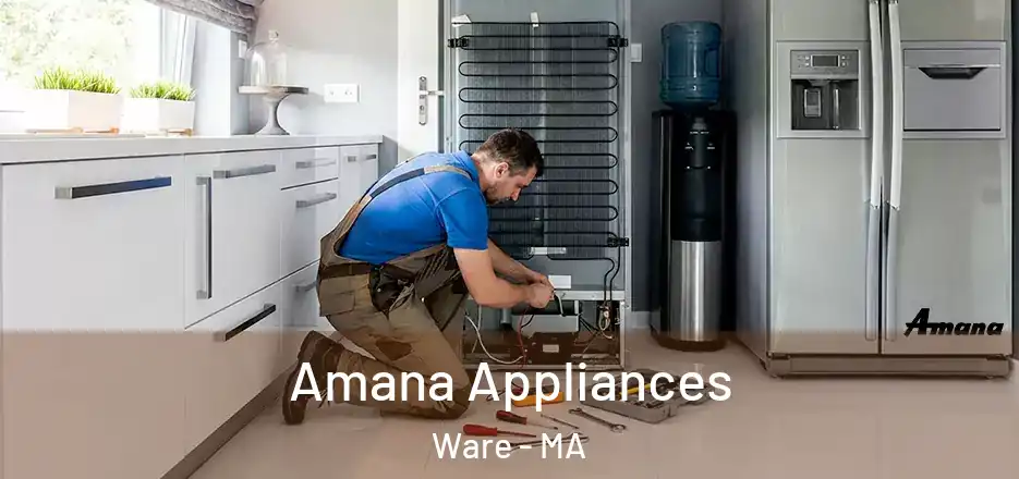  Amana Appliances Ware - MA