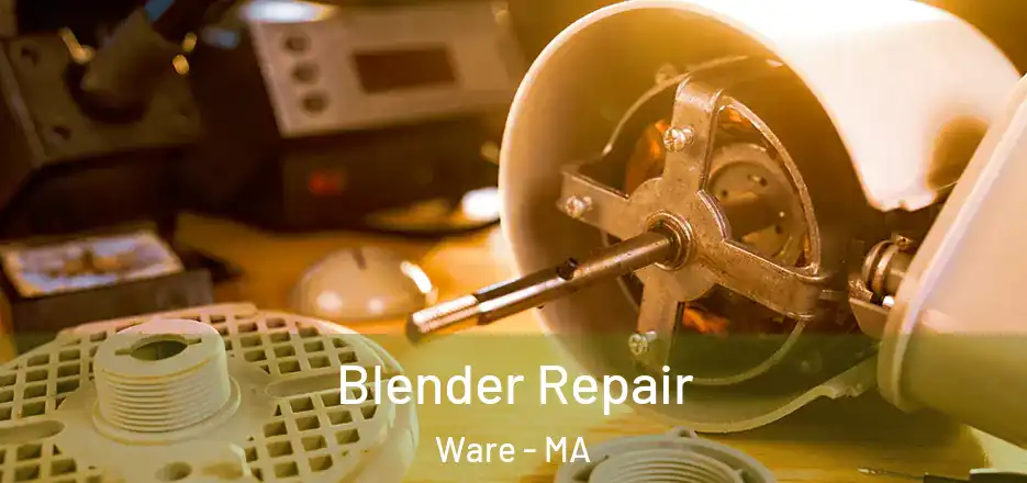 Blender Repair Ware - MA