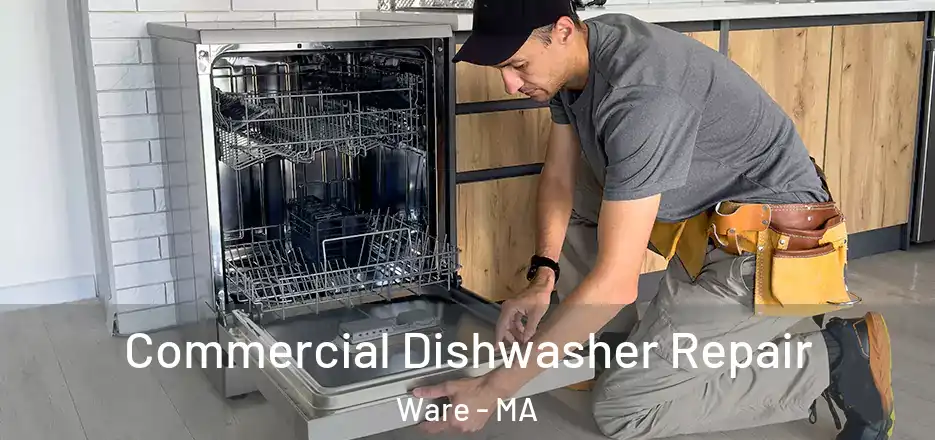 Commercial Dishwasher Repair Ware - MA