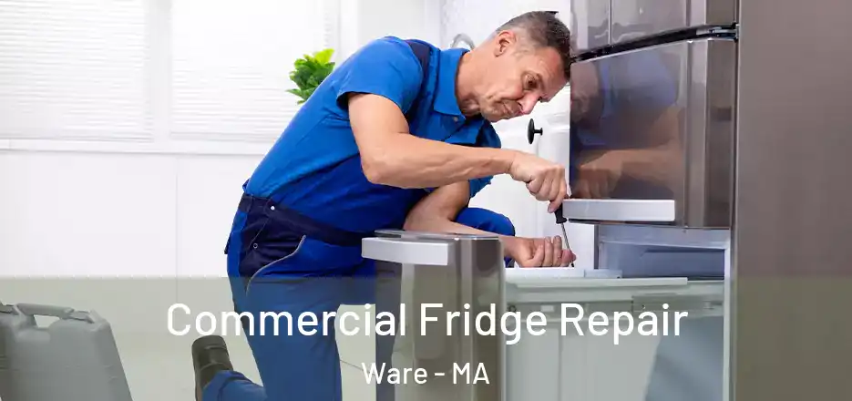  Commercial Fridge Repair Ware - MA