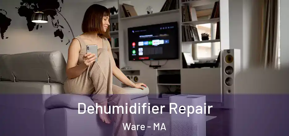 Dehumidifier Repair Ware - MA