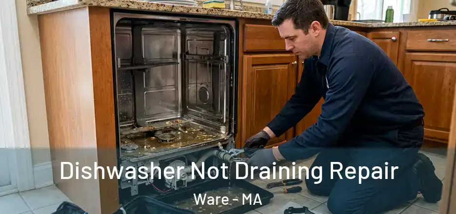 Dishwasher Not Draining Repair Ware - MA