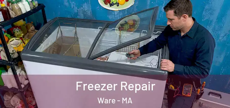 Freezer Repair Ware - MA