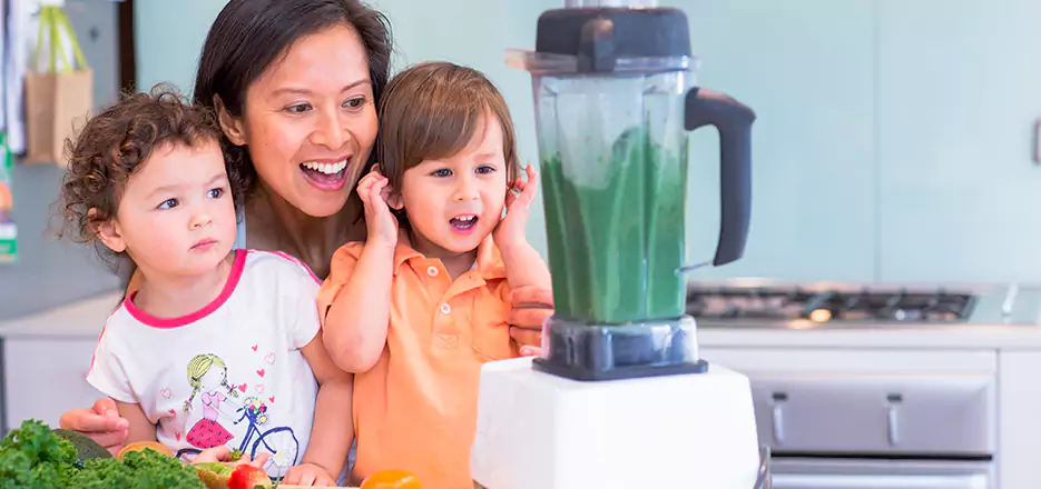 Juicer and Mixer Blender Repair in Ware