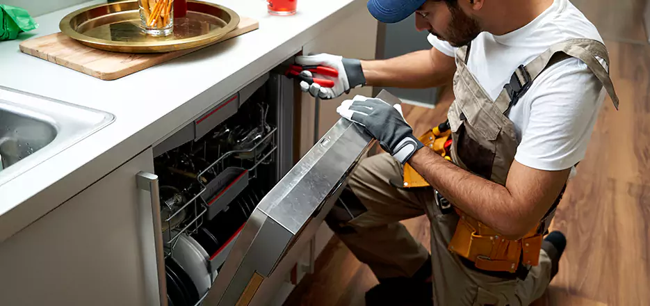 Same Day Dishwasher Not Draining Repair in Ware