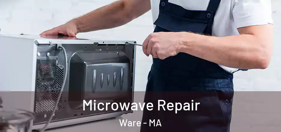 Microwave Repair Ware - MA