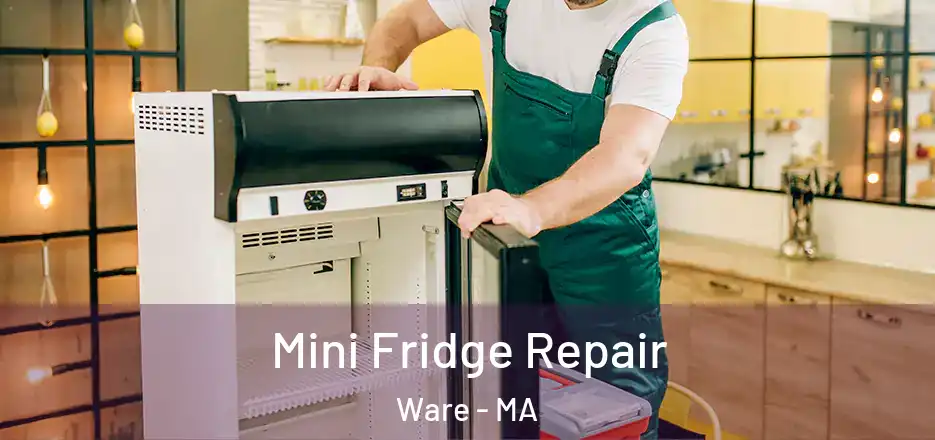 Mini Fridge Repair Ware - MA