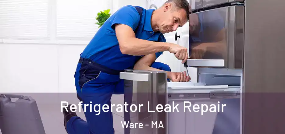Refrigerator Leak Repair Ware - MA