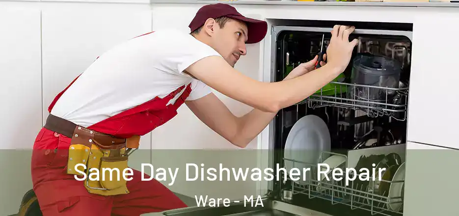 Same Day Dishwasher Repair Ware - MA