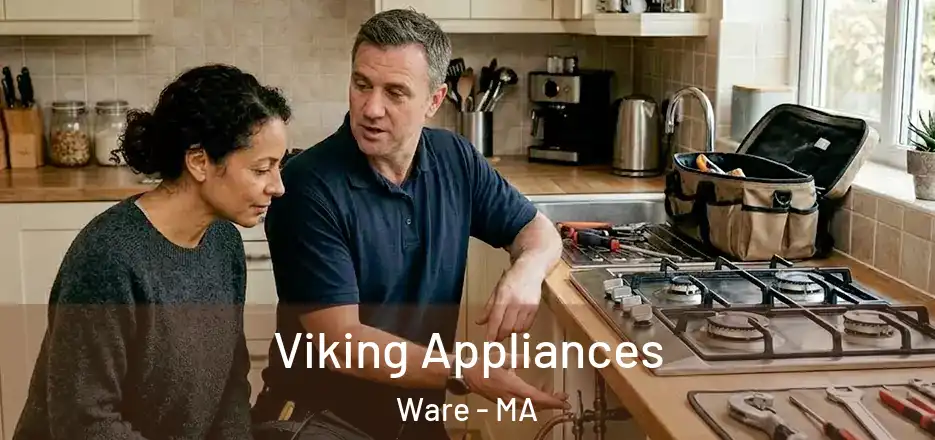 Viking Appliances Ware - MA