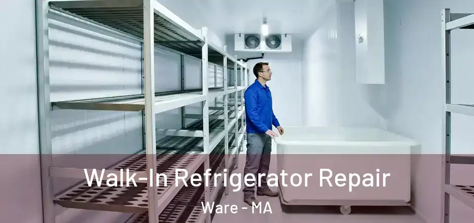 Walk-In Refrigerator Repair Ware - MA