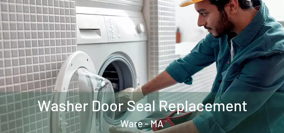 Washer Door Seal Replacement Ware - MA
